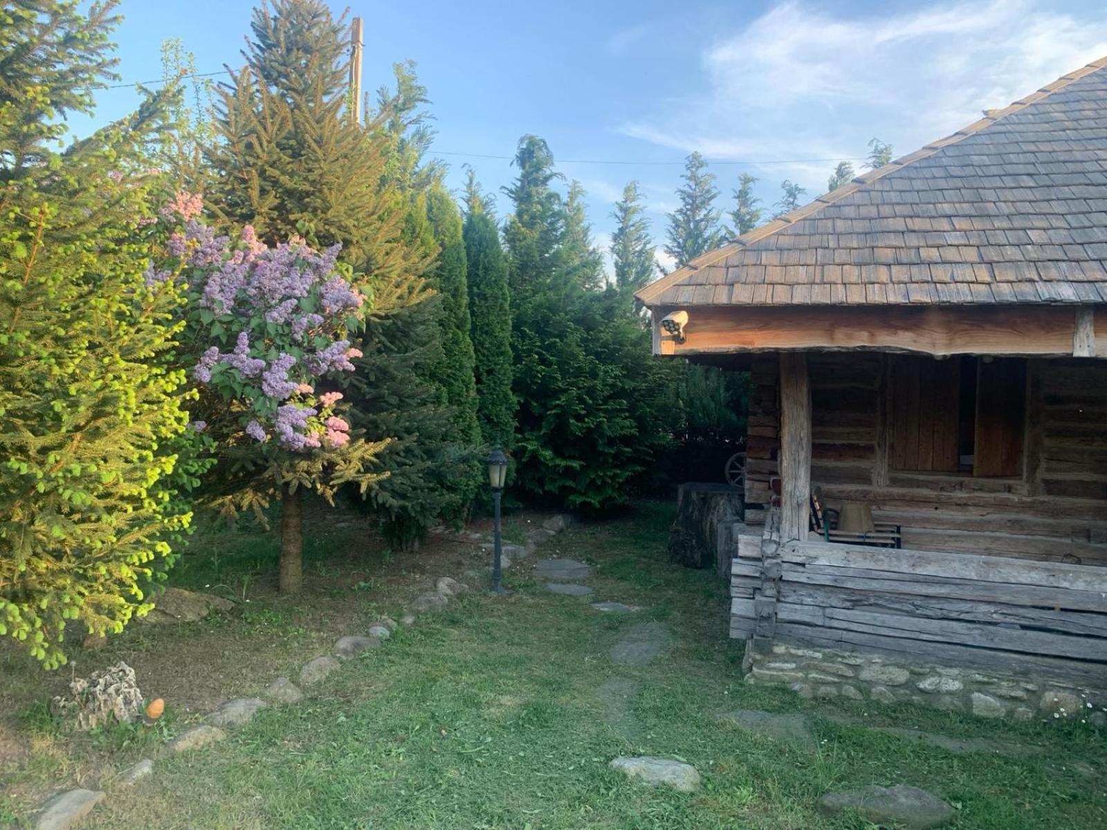 Satul Traditional Runcu  Εξωτερικό φωτογραφία