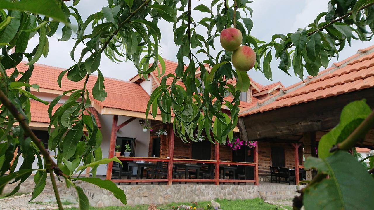 Satul Traditional Runcu  Εξωτερικό φωτογραφία
